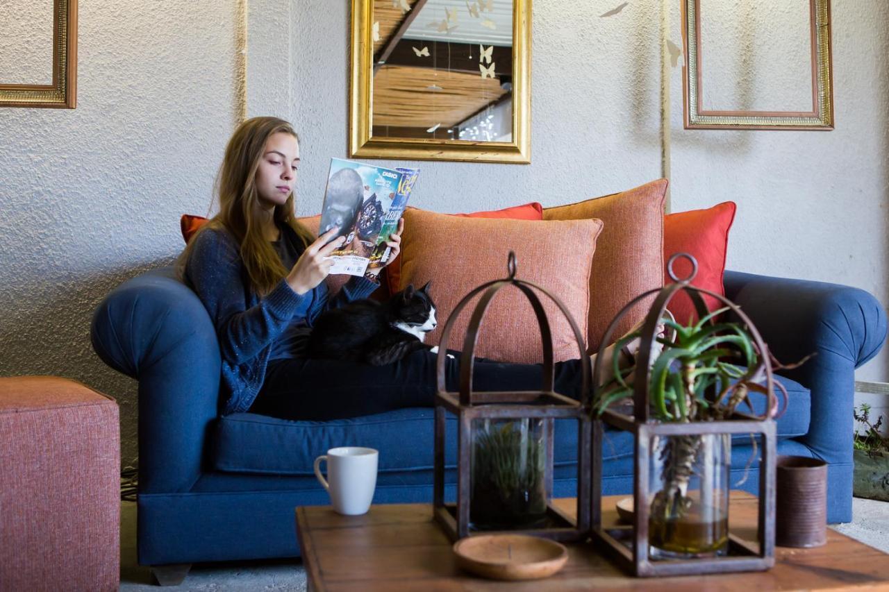 B&B Vinboho Cape Town Dış mekan fotoğraf