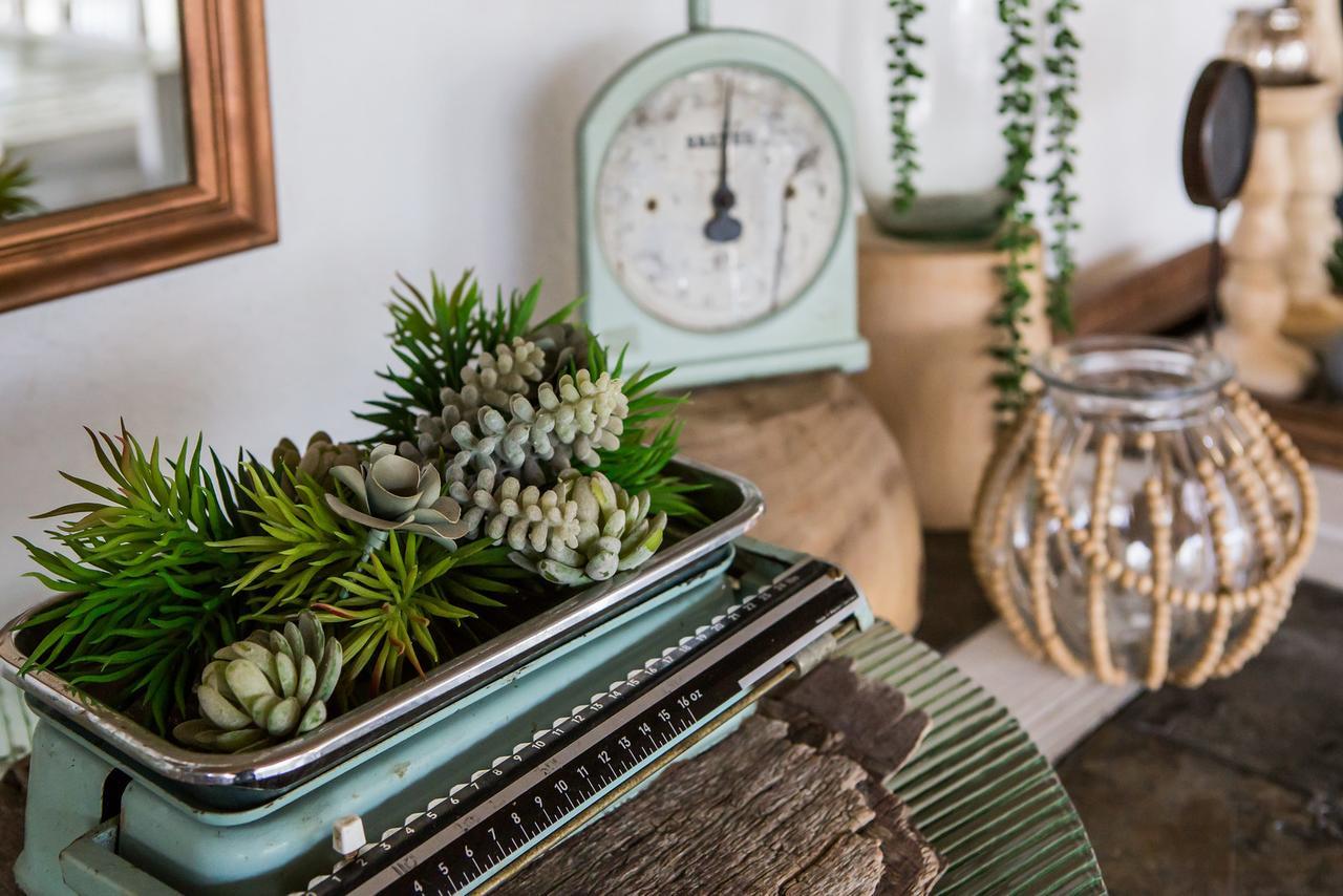 B&B Vinboho Cape Town Dış mekan fotoğraf