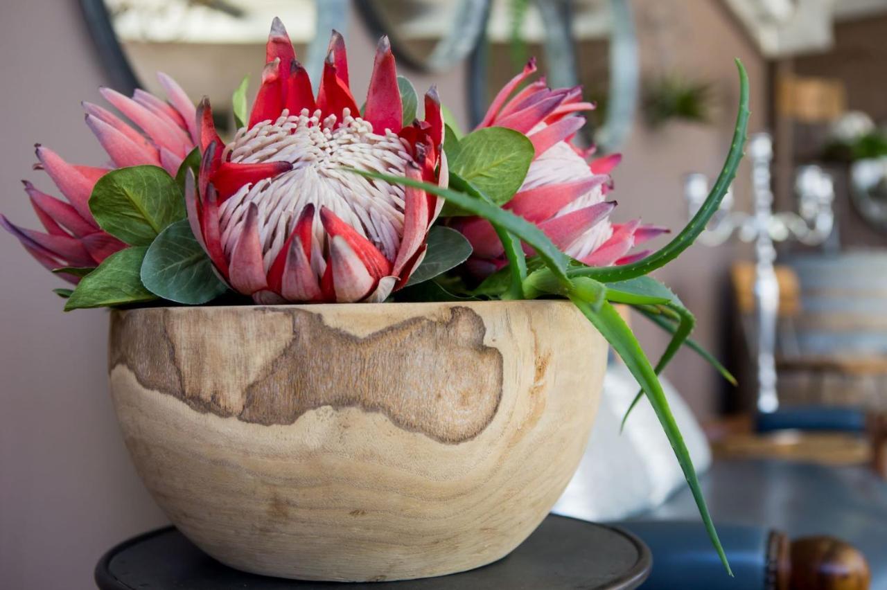 B&B Vinboho Cape Town Dış mekan fotoğraf